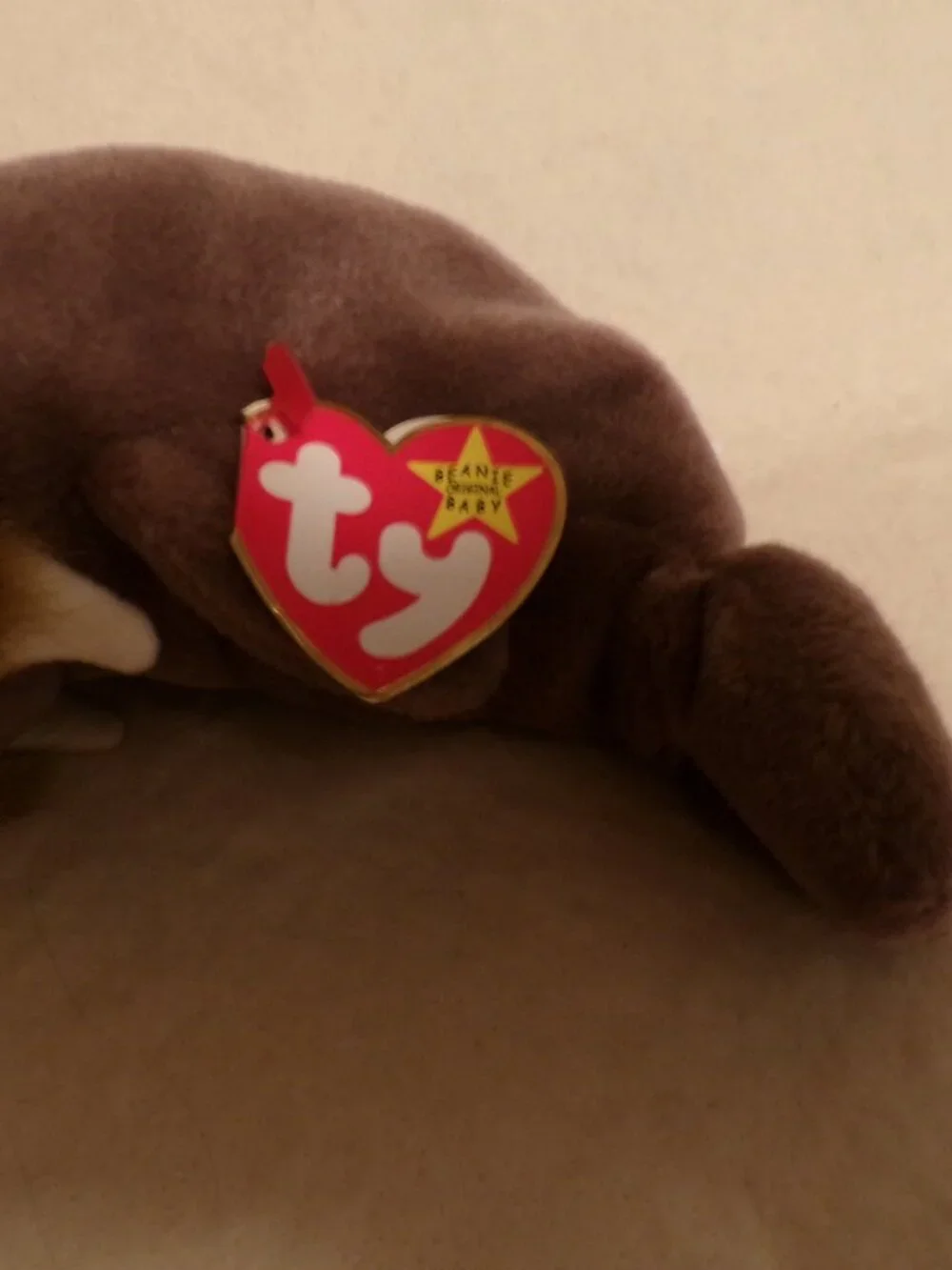 TY Beanie Baby - JOLLY the Walrus 1996